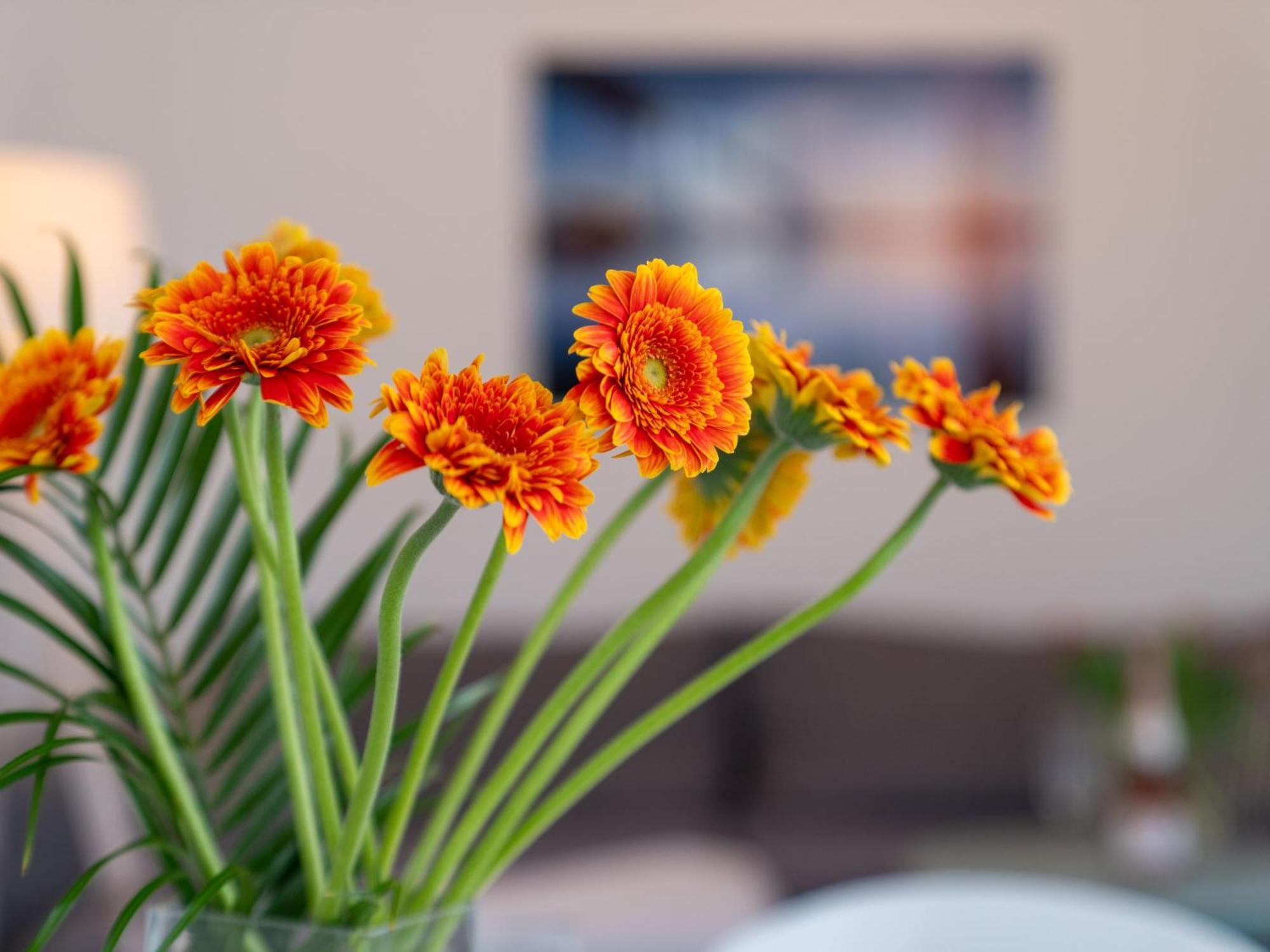 Apartment Stolzenfels-1 By Interhome Sellin  外观 照片